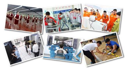 南京交通职业技术学院 构建四大交通特色专业群，深化技术服务与技术开发